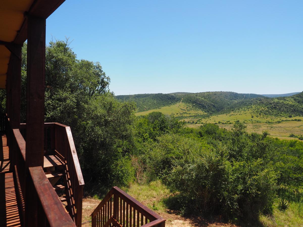 Pure Nature Familodge Paterson Εξωτερικό φωτογραφία
